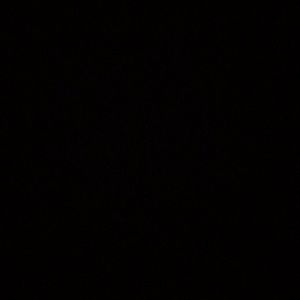 Meet your Posher, Lilly